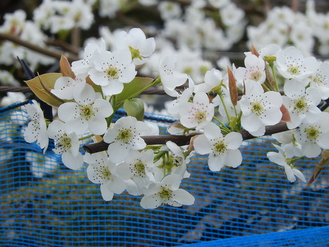 DSCN0249