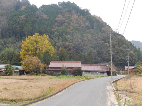 DSCN8817