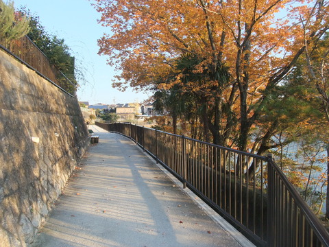 DSCF0046