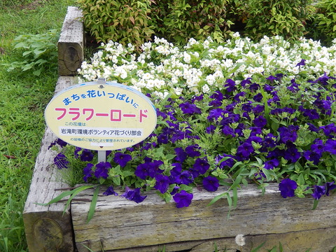 DSCN3593
