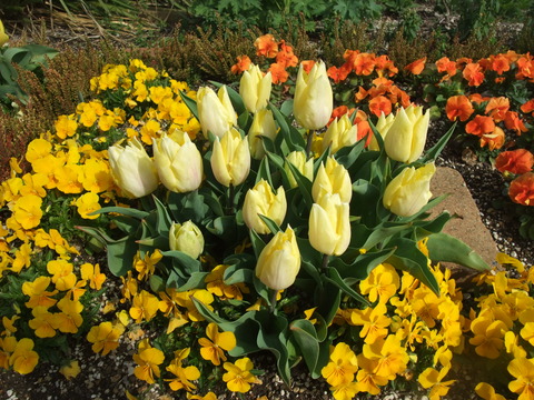 DSCF0069