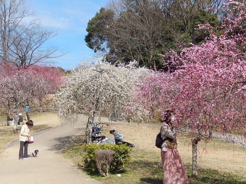 DSCN2298