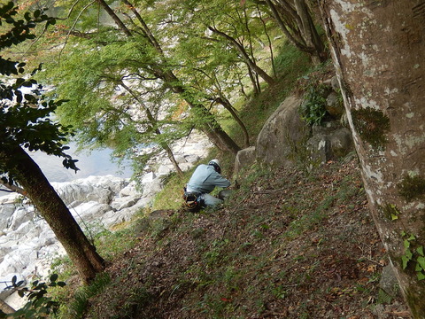 DSCN7344