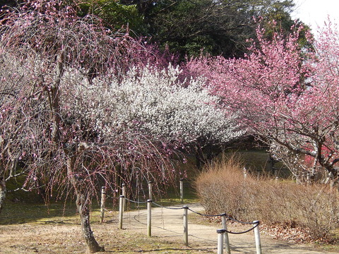 DSCN0744