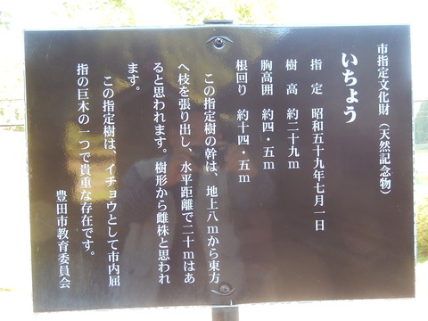 DSCN9184