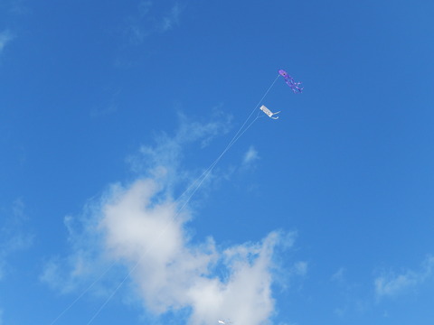 DSCN1304