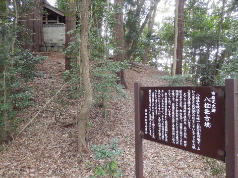 DSCN0707