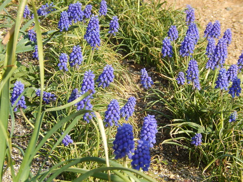 DSCN9918