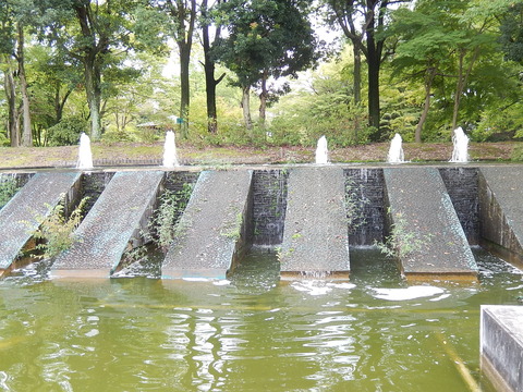 DSCN5777