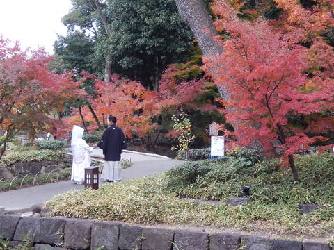 DSCN0677