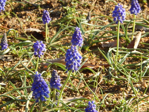DSCN2048
