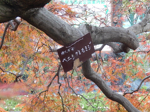 DSCN8859