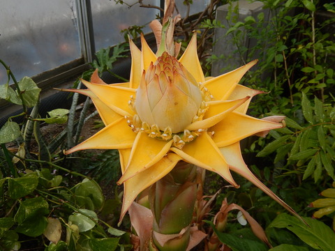 DSCN8481