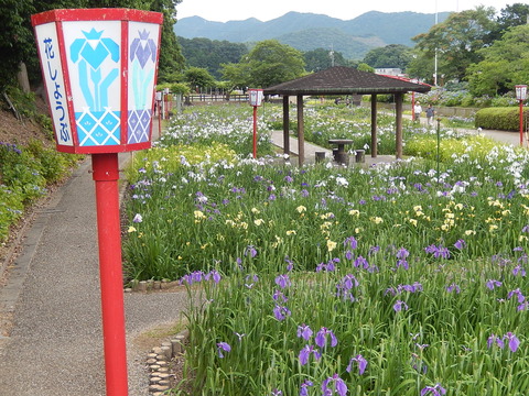 DSCN4298