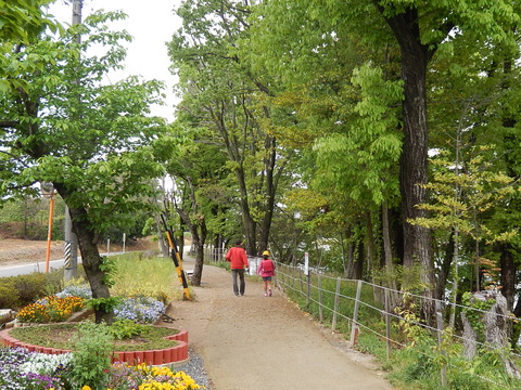 DSCN1308