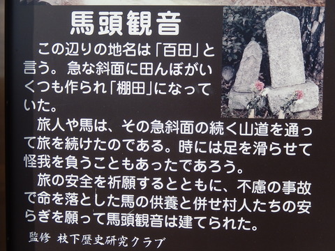 DSCN0119