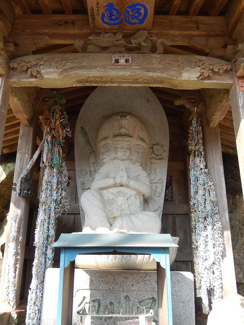DSCN0786