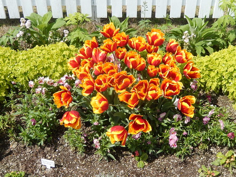 DSCN0792