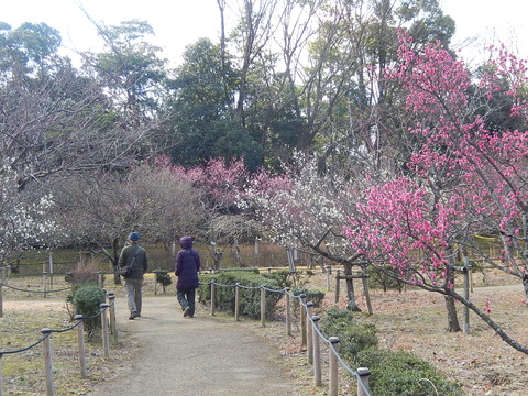 DSCN0713