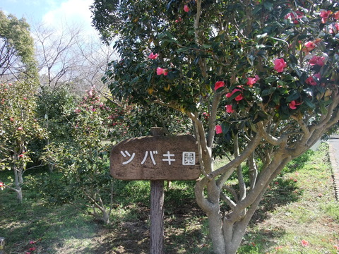 DSCF0008