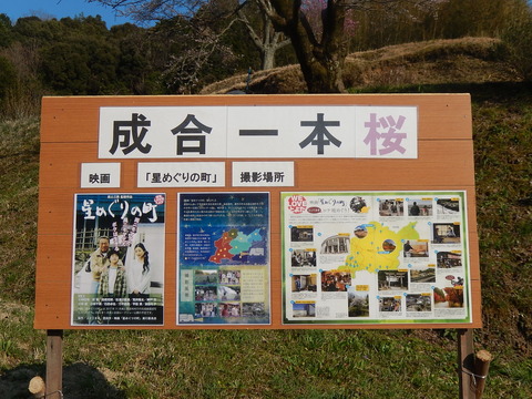 DSCN2099