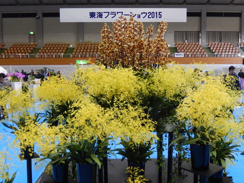 DSCN1508