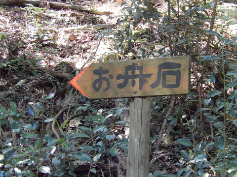 DSCN6048