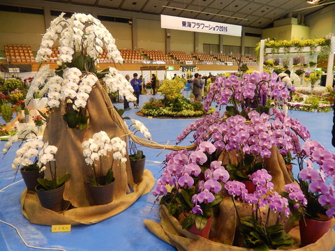 DSCN0305