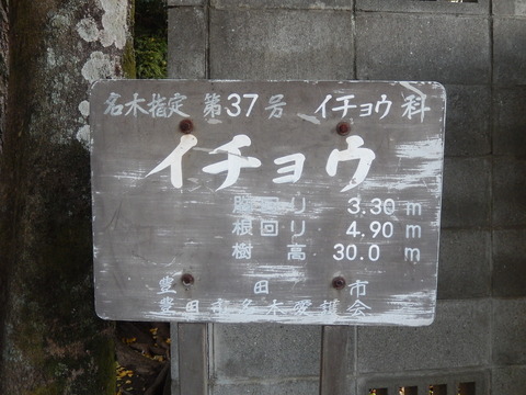 DSCN7993
