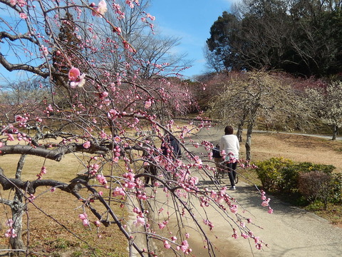 DSCN0730