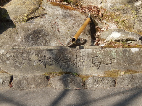 DSCN0784