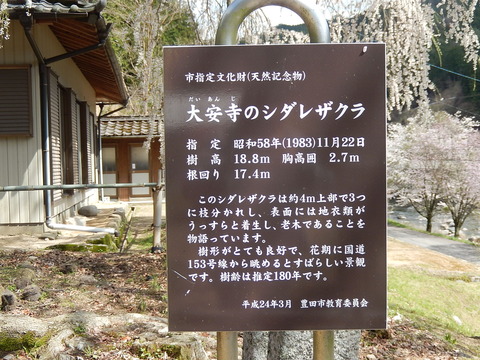 DSCN0446