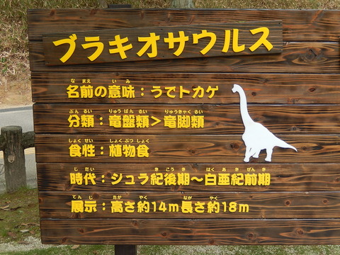 DSCN0924