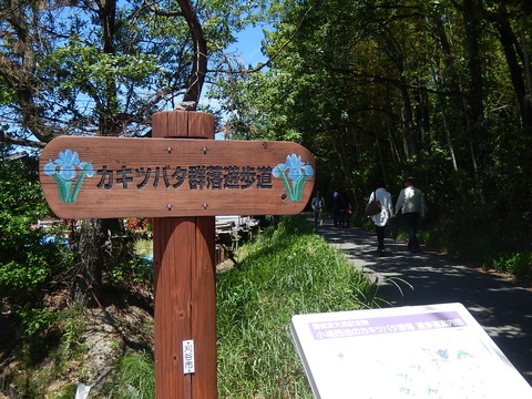 DSCN1957