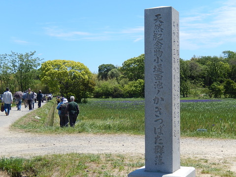 DSCN1919