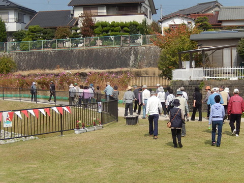 DSCN7511