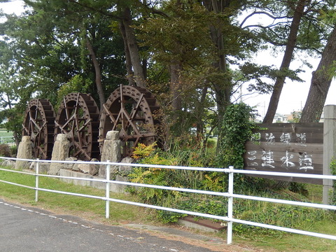 DSCN8987