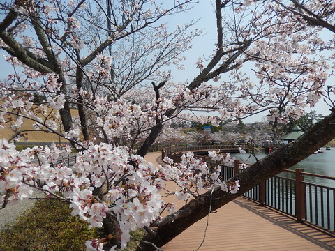 DSCN2858