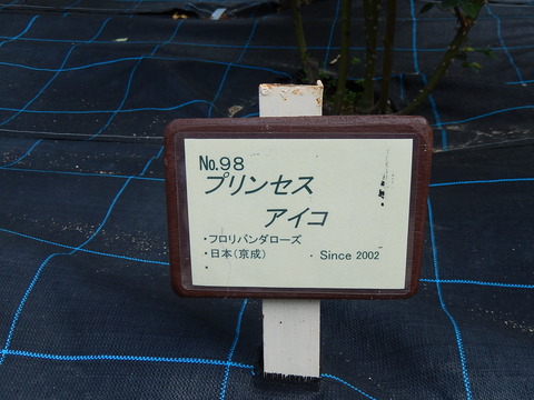 DSCN1645