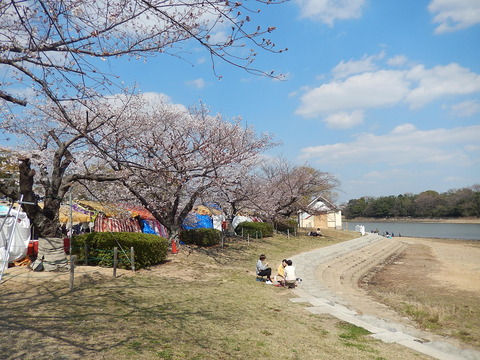 DSCN2796