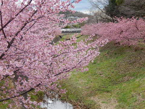 DSCN2329
