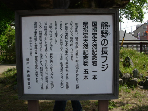 DSCN3482