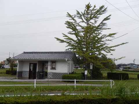 DSCN8967