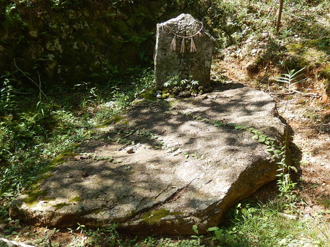 DSCN6041