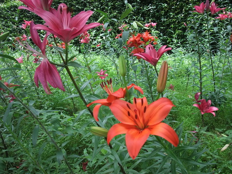 DSCF0031