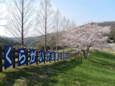 DSCN0031