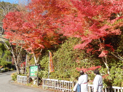 DSCN9299