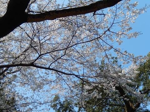 DSCN1807