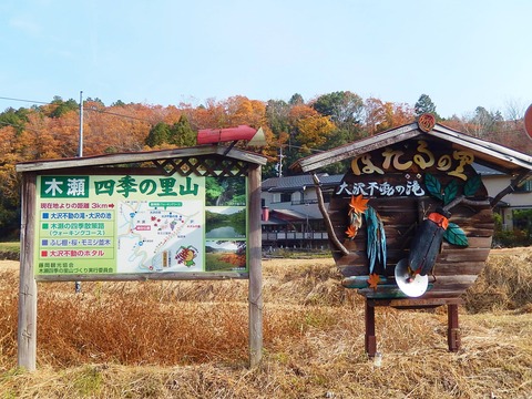 DSCN0447
