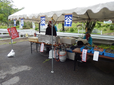 DSCN3893